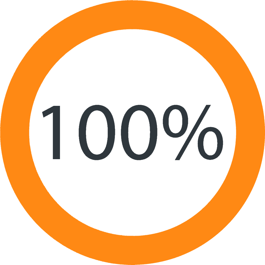 100 Percent Icon